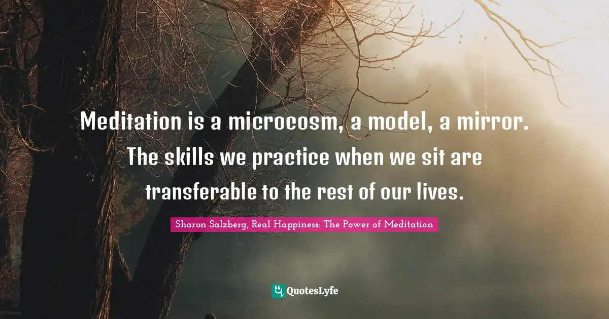 Meditation is a microcosm, a model, a mirror. The skills we practice when we sit are transferable to the rest of our lives.