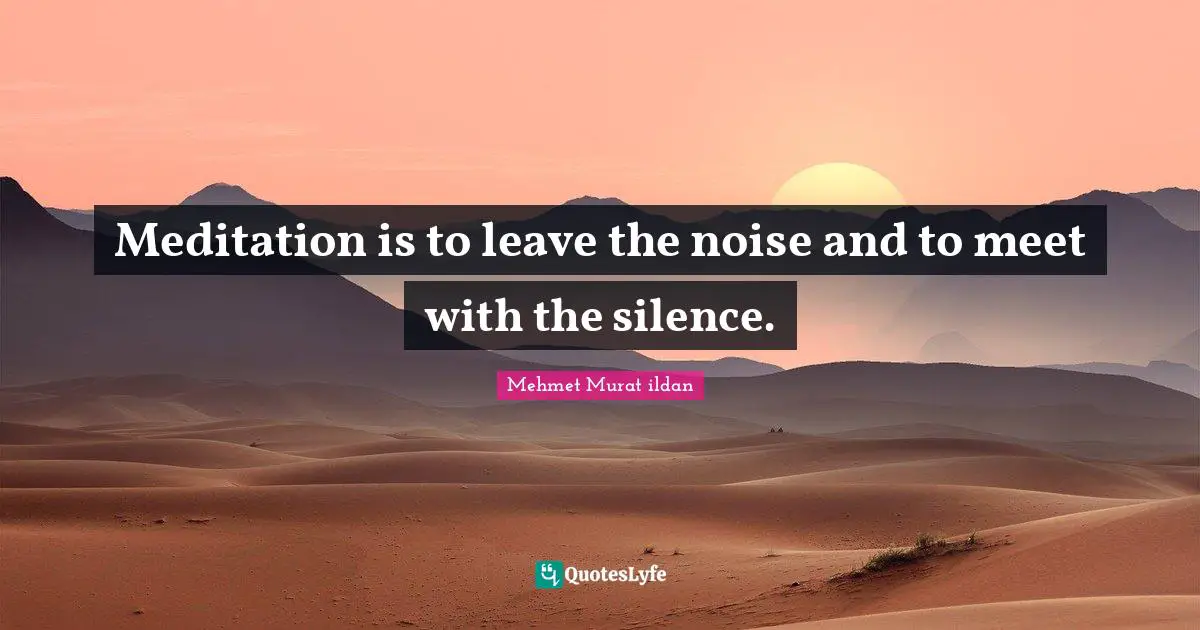 Meditation is to leave the noise and to meet with the silence.