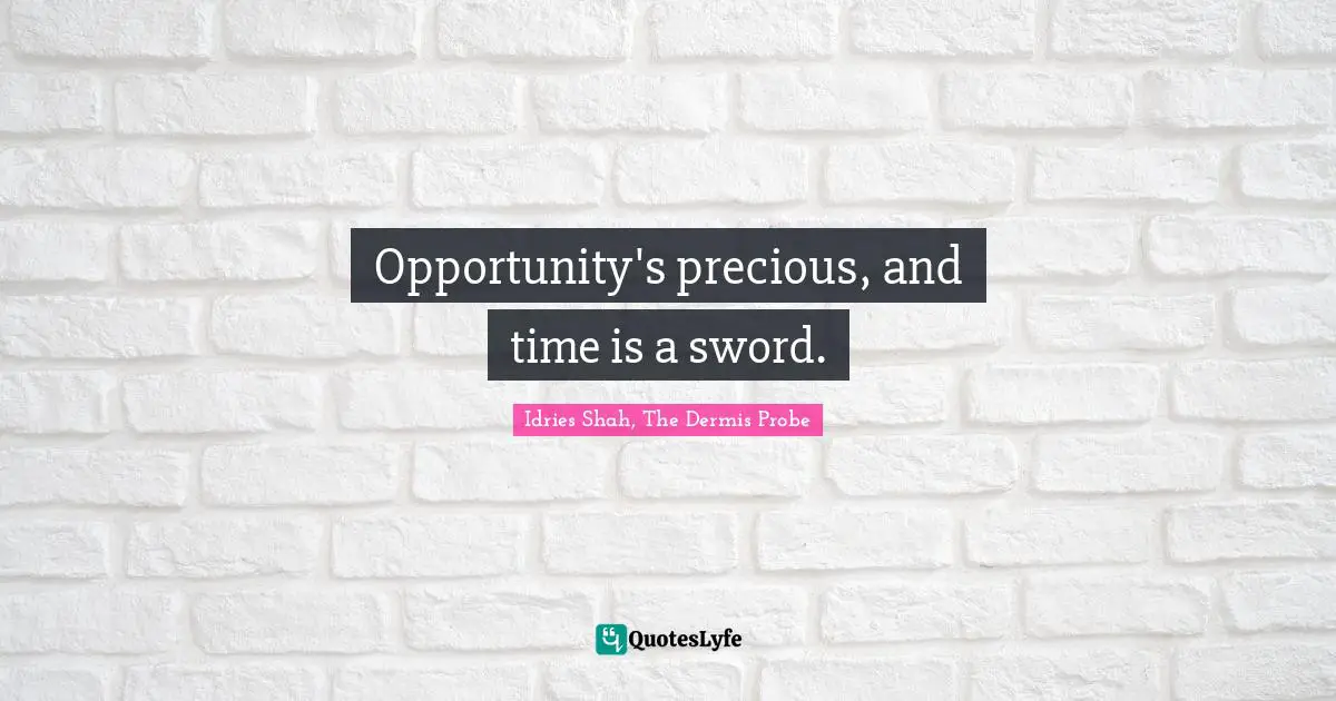 Opportunity's precious, and time is a sword.