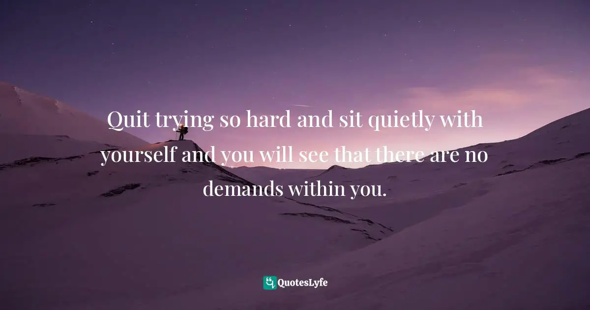 Self Reflection Quotes: "Quit trying so hard and sit quietly with yourself and you will see that there are no demands within you."