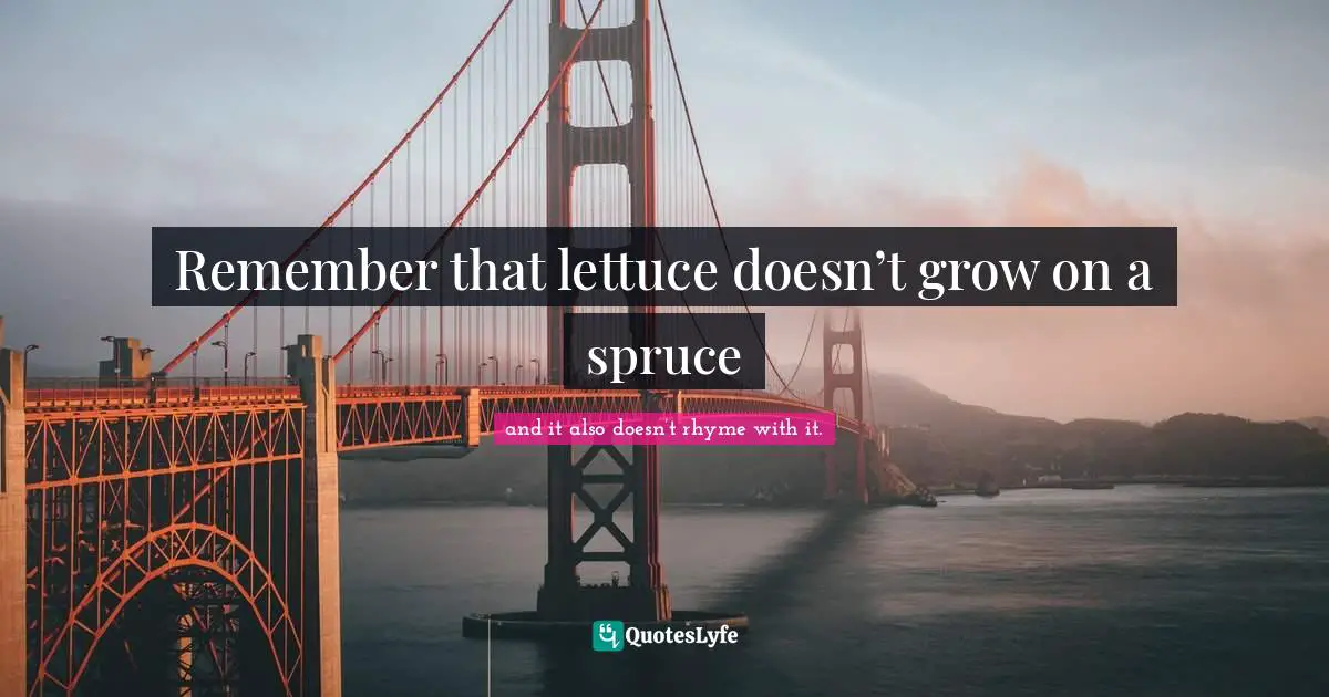 Remember that lettuce doesn’t grow on a spruce