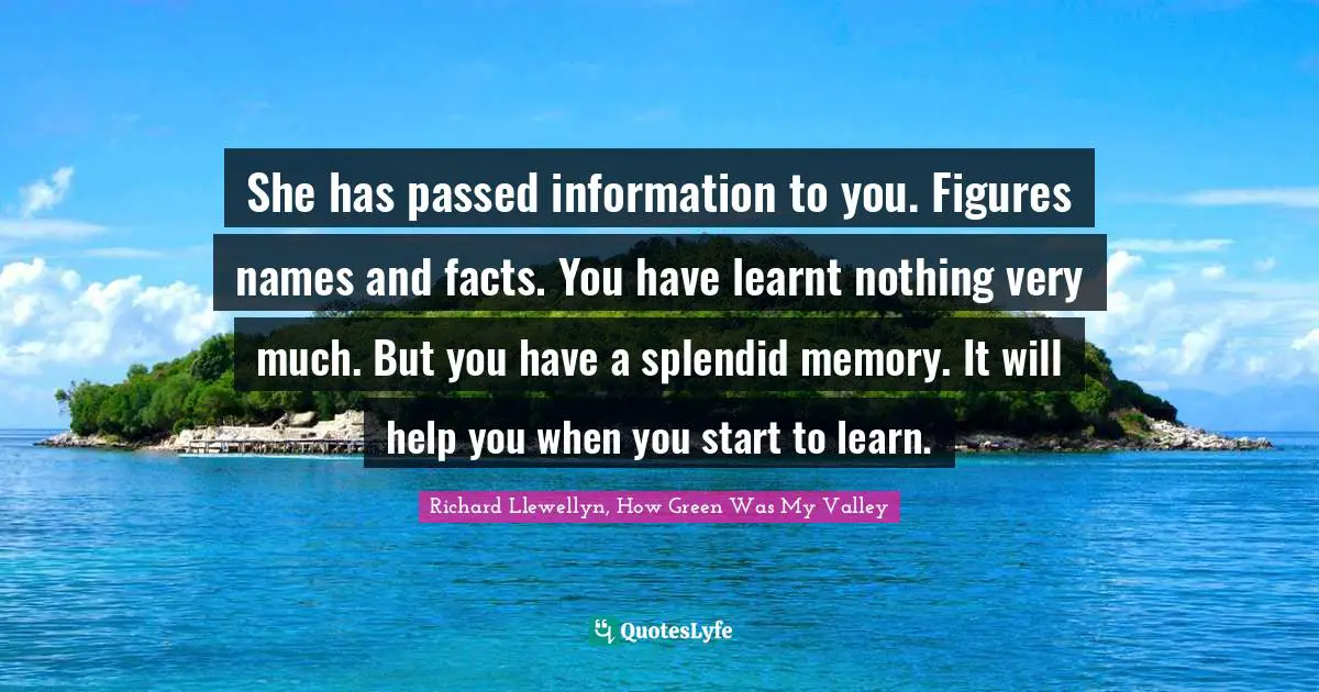 She has passed information to you. Figures names and facts. You have learnt nothing very much. But you have a splendid memory. It will help you when you start to learn.