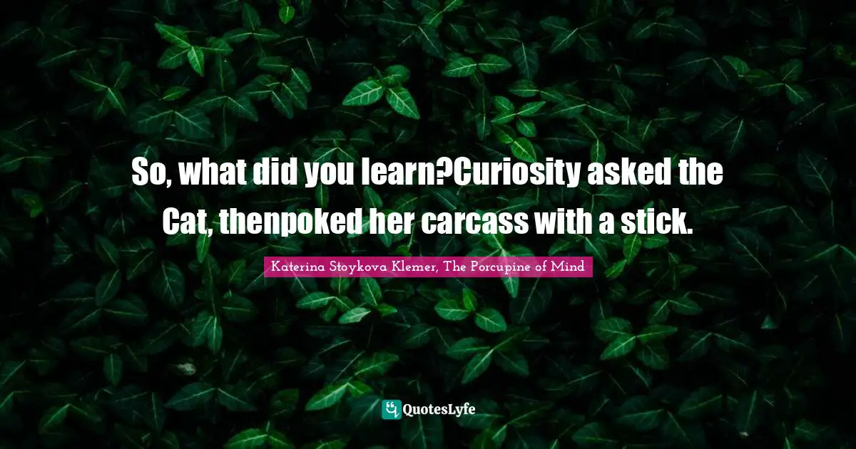 So, what did you learn?Curiosity asked the Cat, thenpoked her carcass with a stick.