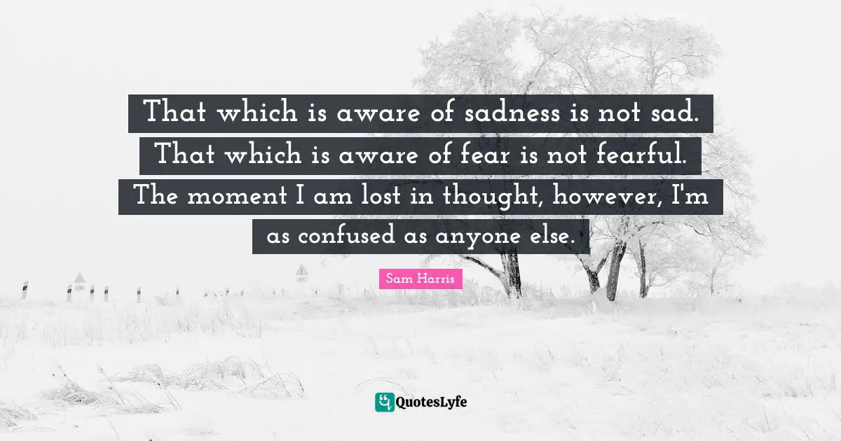 That which is aware of sadness is not sad. That which is aware of fear is not fearful. The moment I am lost in thought, however, I'm as confused as anyone else.