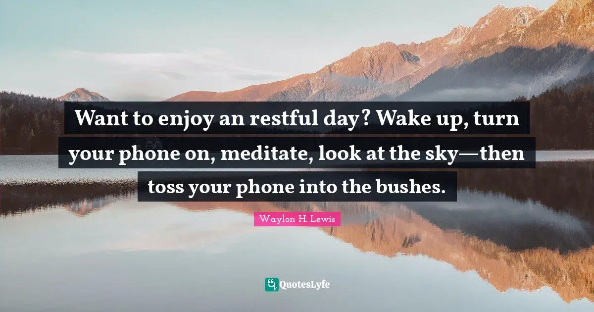 Want to enjoy an restful day? Wake up, turn your phone on, meditate, look at the sky—then toss your phone into the bushes.