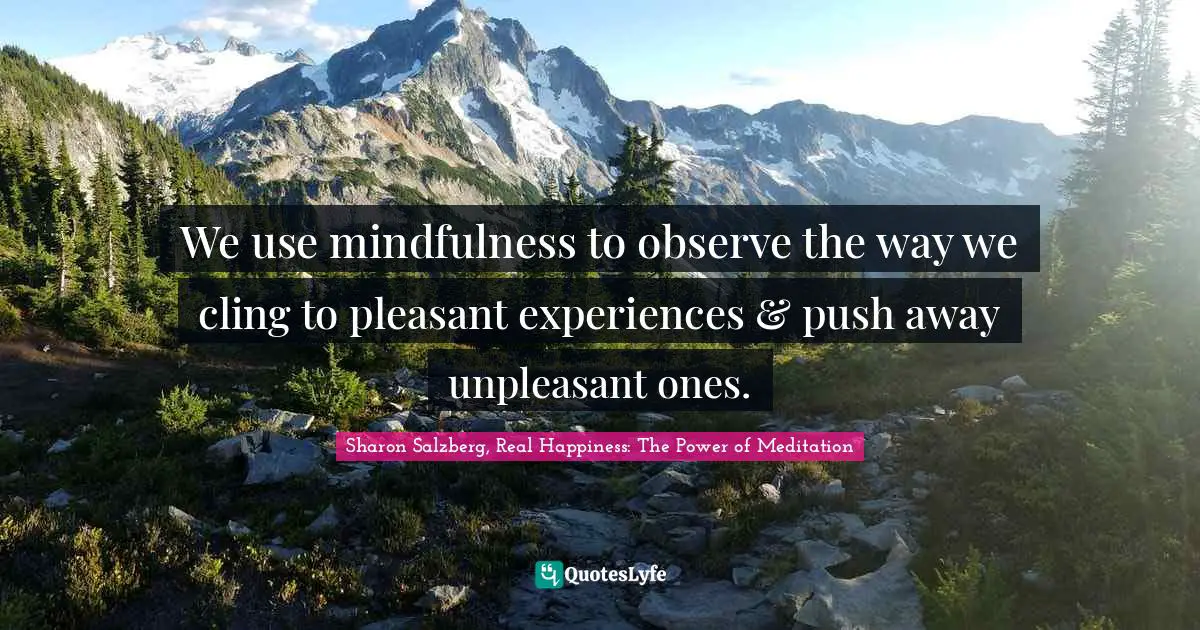 We use mindfulness to observe the way we cling to pleasant experiences & push away unpleasant ones.