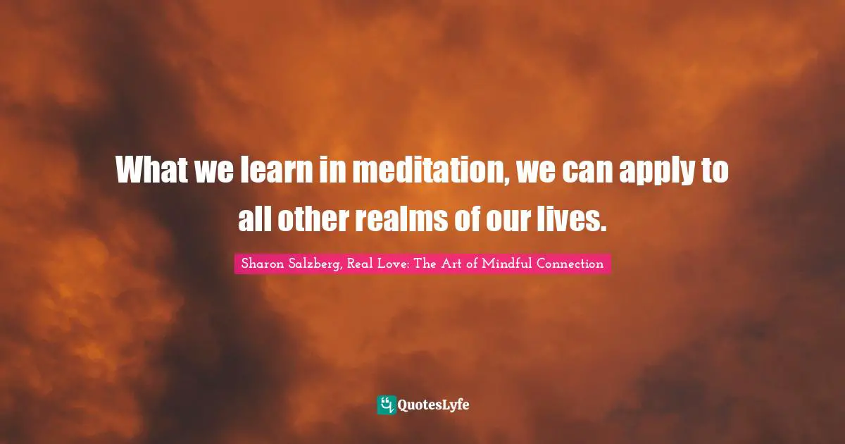 Sharon Salzberg, Real Love: The Art Of Mindful Connection Quotes: "What we learn in meditation, we can apply to all other realms of our lives."
