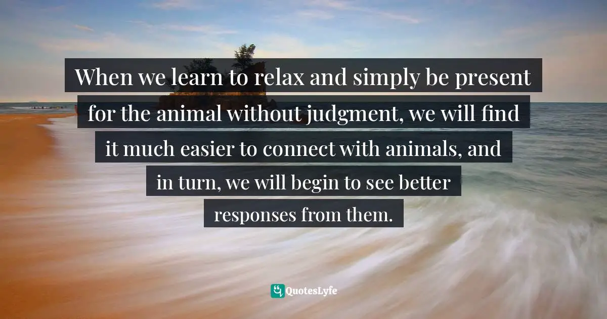 When we learn to relax and simply be present for the animal without judgment, we will find it much easier to connect with animals, and in turn, we will begin to see better responses from them.