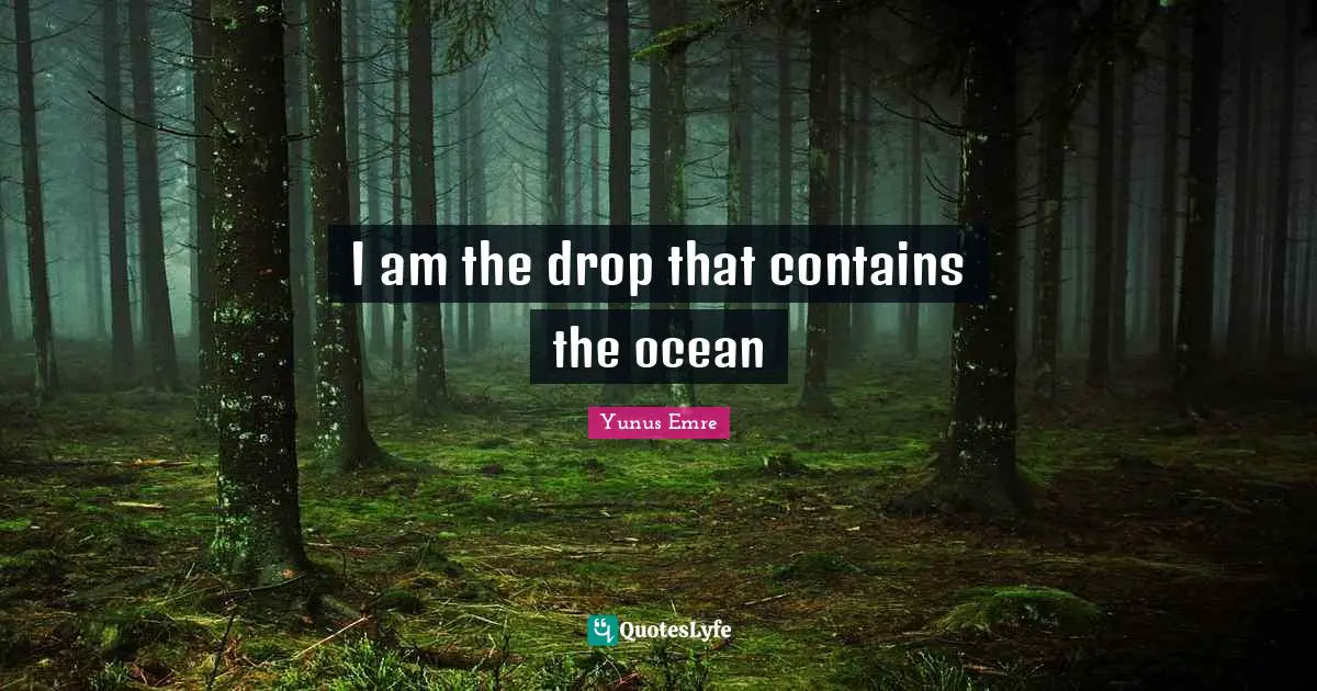 I am the drop that contains the ocean