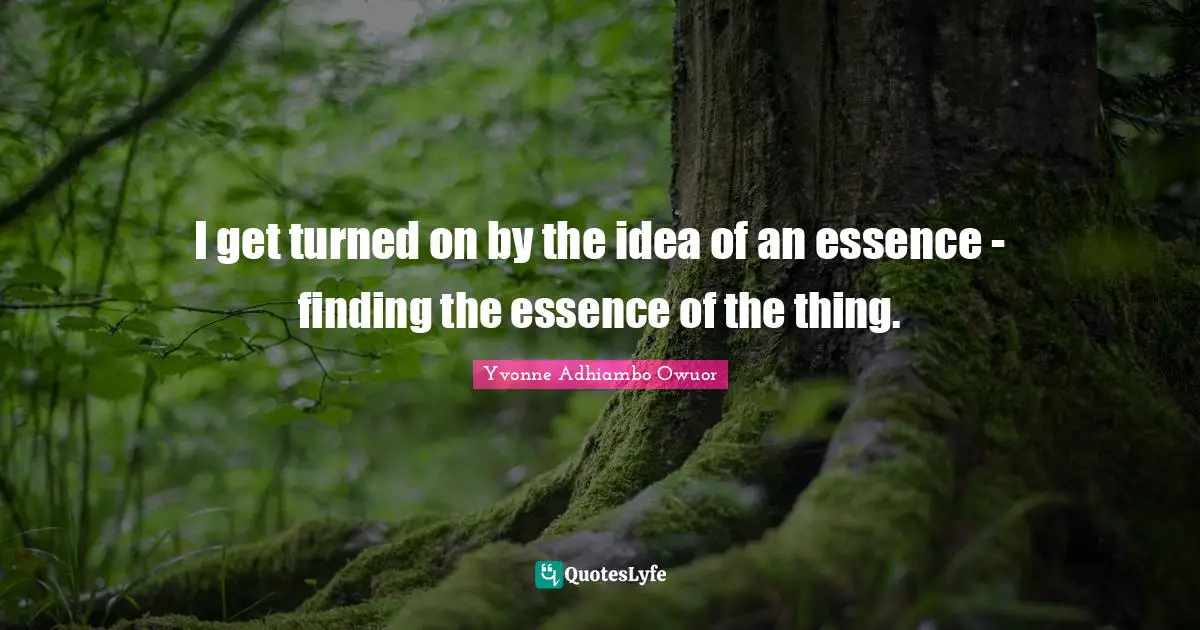 I get turned on by the idea of an essence - finding the essence of the thing.