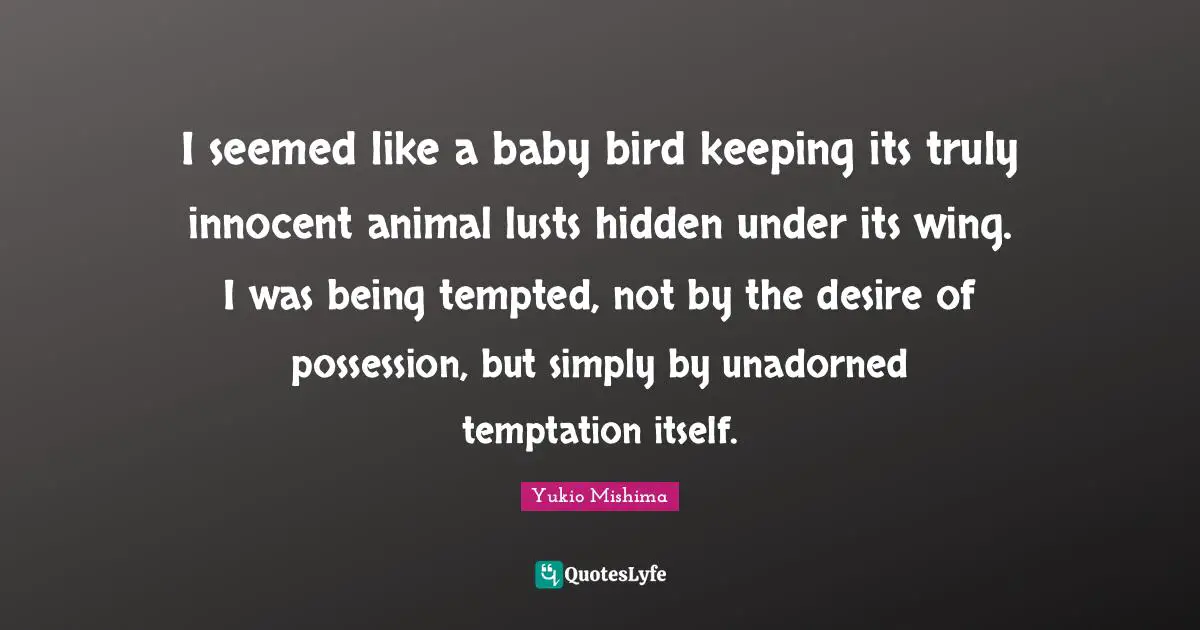 I seemed like a baby bird keeping its truly innocent animal lusts hidden under its wing. I was being tempted, not by the desire of possession, but simply by unadorned temptation itself.