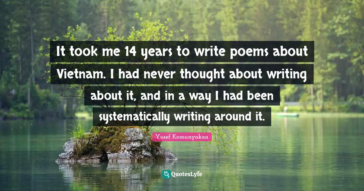 It took me 14 years to write poems about Vietnam. I had never thought about writing about it, and in a way I had been systematically writing around it.
