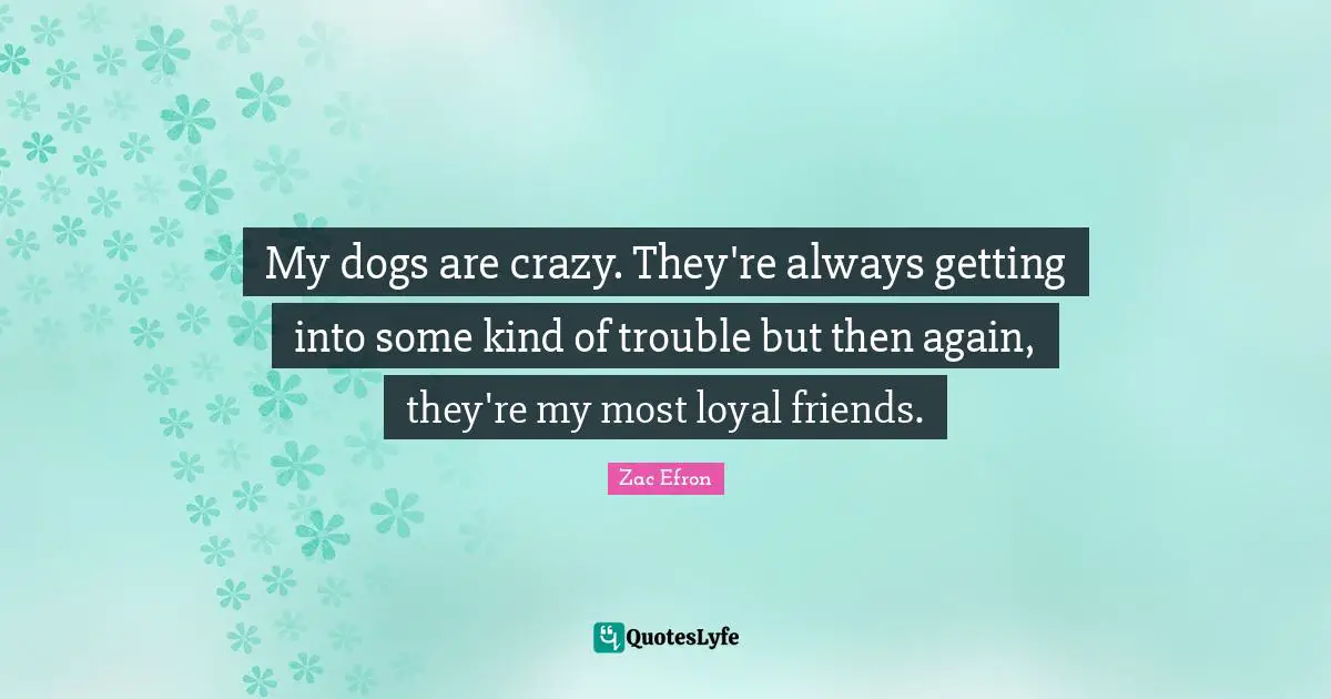 My dogs are crazy. They're always getting into some kind of trouble but then again, they're my most loyal friends.