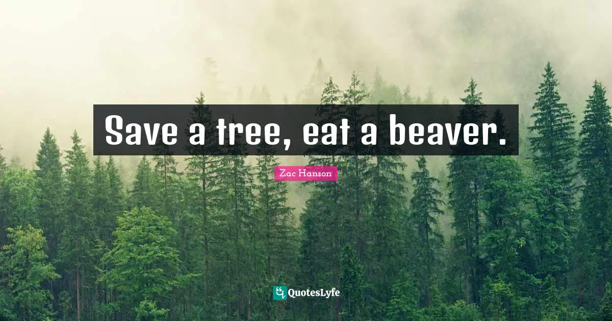 Zac Hanson Quotes: "Save a tree, eat a beaver."
