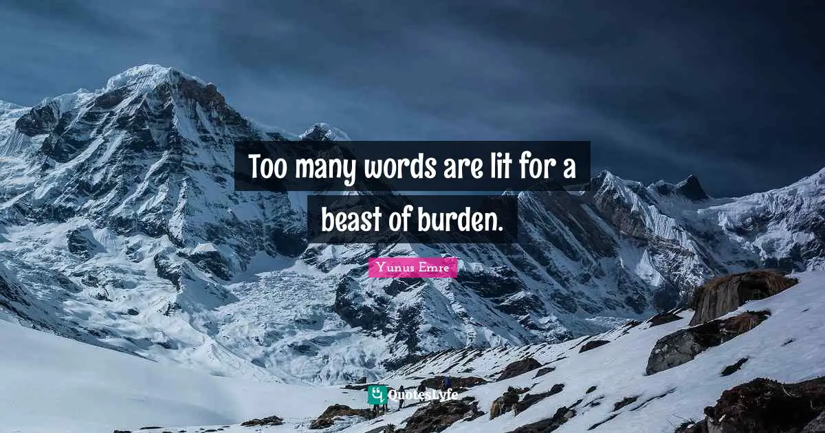 Too many words are lit for a beast of burden.
