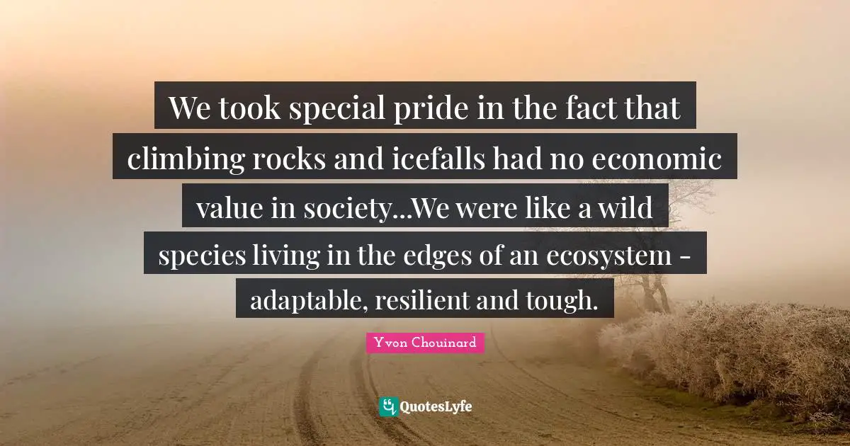 We took special pride in the fact that climbing rocks and icefalls had no economic value in society...We were like a wild species living in the edges of an ecosystem - adaptable, resilient and tough.