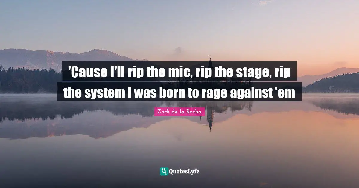 'Cause I'll rip the mic, rip the stage, rip the system I was born to rage against 'em