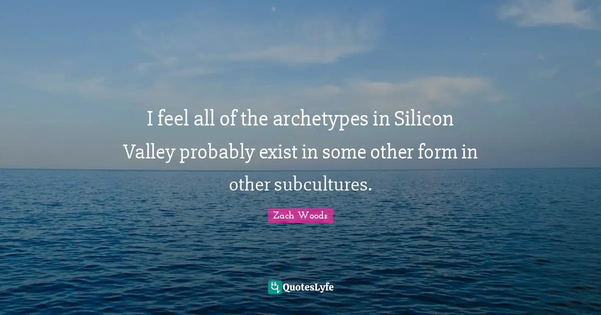 I feel all of the archetypes in Silicon Valley probably exist in some other form in other subcultures.