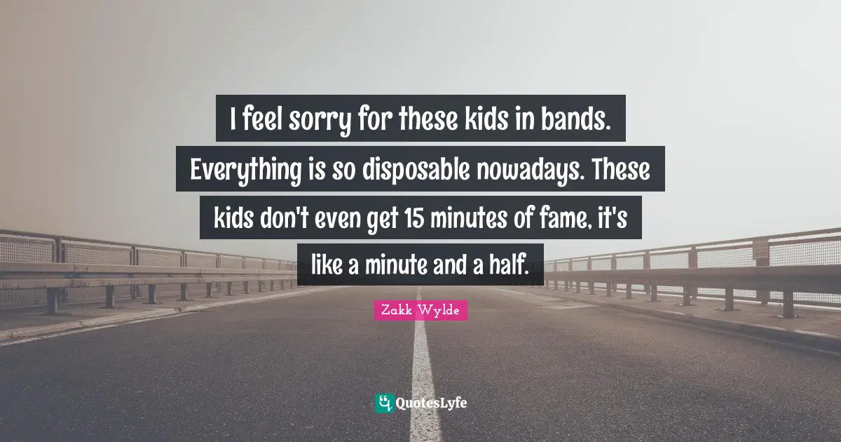I feel sorry for these kids in bands. Everything is so disposable nowadays. These kids don't even get 15 minutes of fame, it's like a minute and a half.