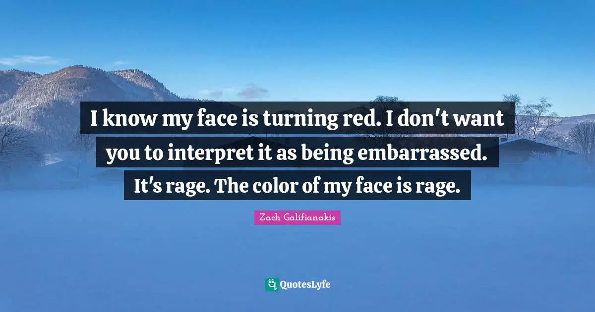 I know my face is turning red. I don't want you to interpret it as being embarrassed. It's rage. The color of my face is rage.