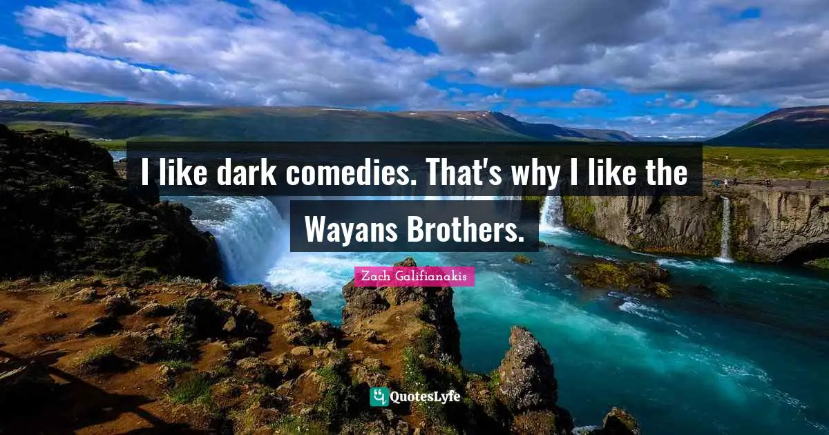 I like dark comedies. That's why I like the Wayans Brothers.