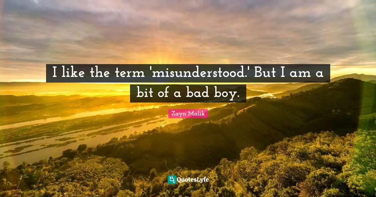 Boys Quotes: "I like the term 'misunderstood.' But I am a bit of a bad boy."