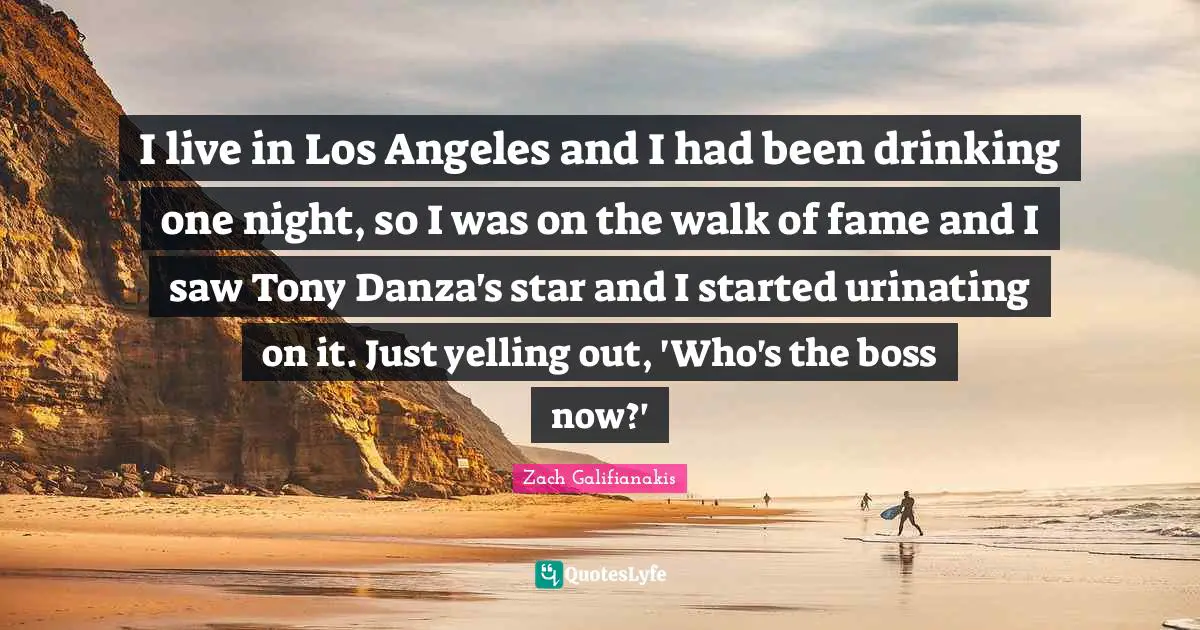 I live in Los Angeles and I had been drinking one night, so I was on the walk of fame and I saw Tony Danza's star and I started urinating on it. Just yelling out, 'Who's the boss now?'
