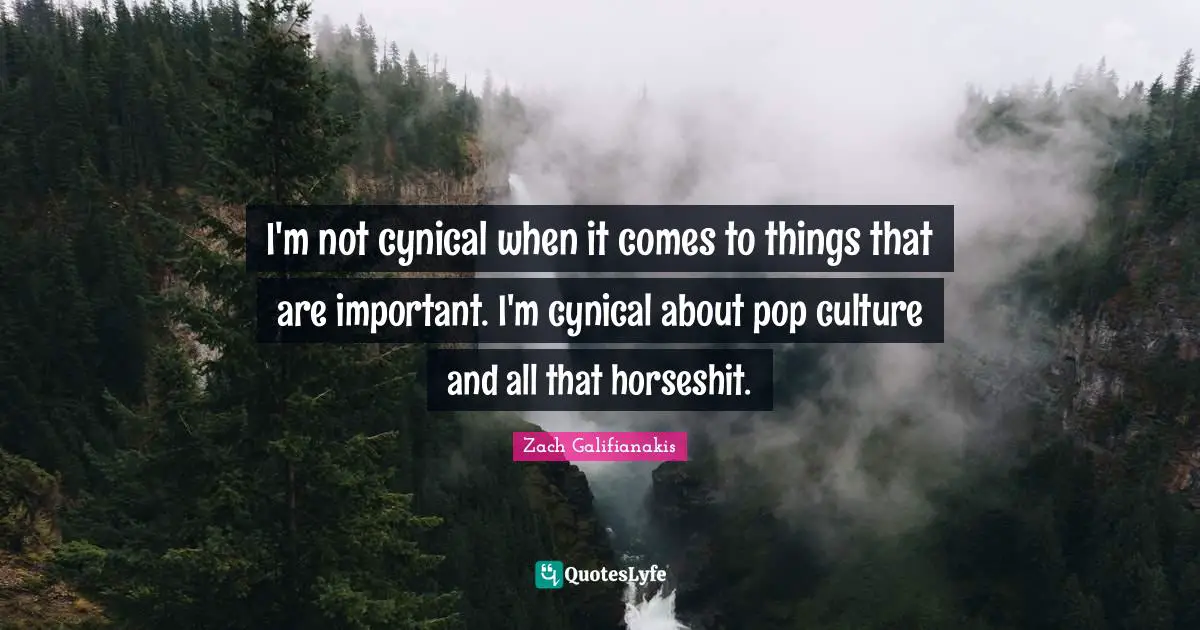 I'm not cynical when it comes to things that are important. I'm cynical about pop culture and all that horseshit.