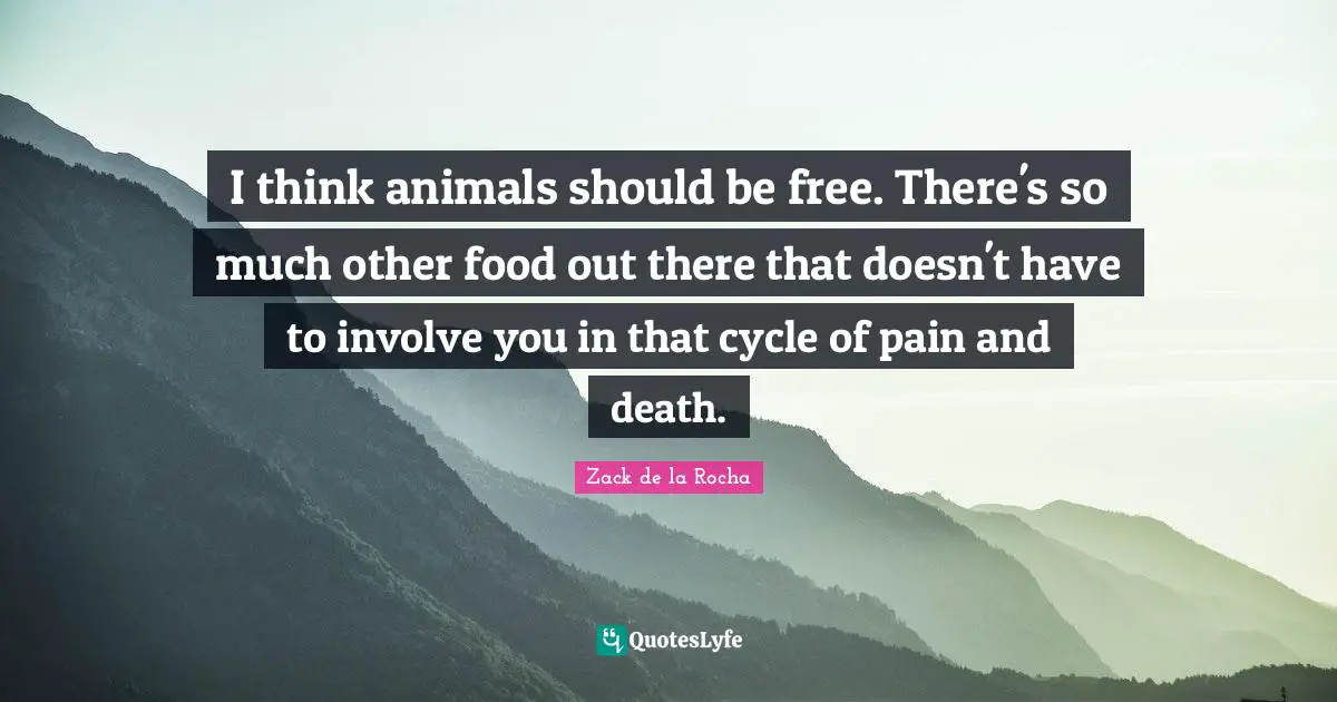 I think animals should be free. There's so much other food out there that doesn't have to involve you in that cycle of pain and death.