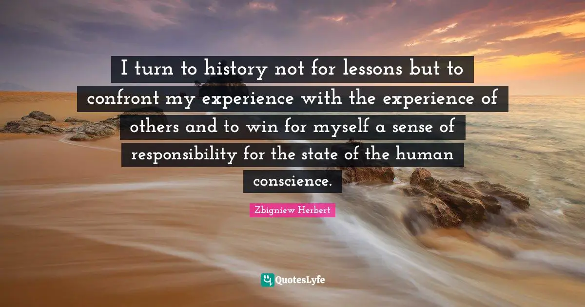 I turn to history not for lessons but to confront my experience with the experience of others and to win for myself a sense of responsibility for the state of the human conscience.