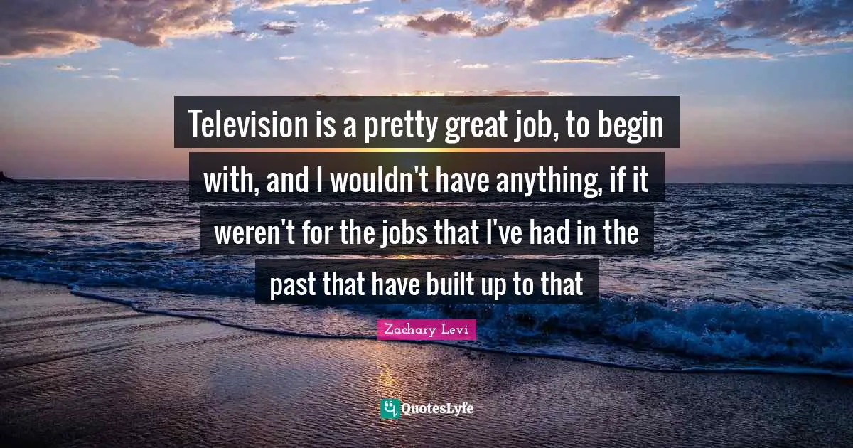 Television is a pretty great job, to begin with, and I wouldn't have anything, if it weren't for the jobs that I've had in the past that have built up to that