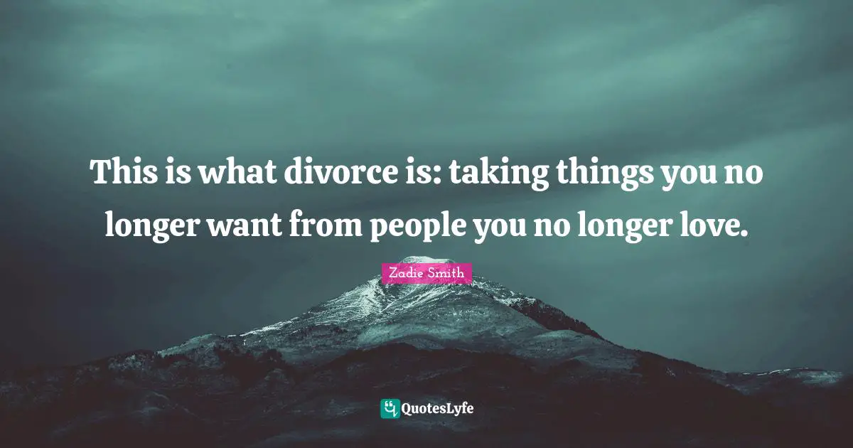 This is what divorce is: taking things you no longer want from people you no longer love.