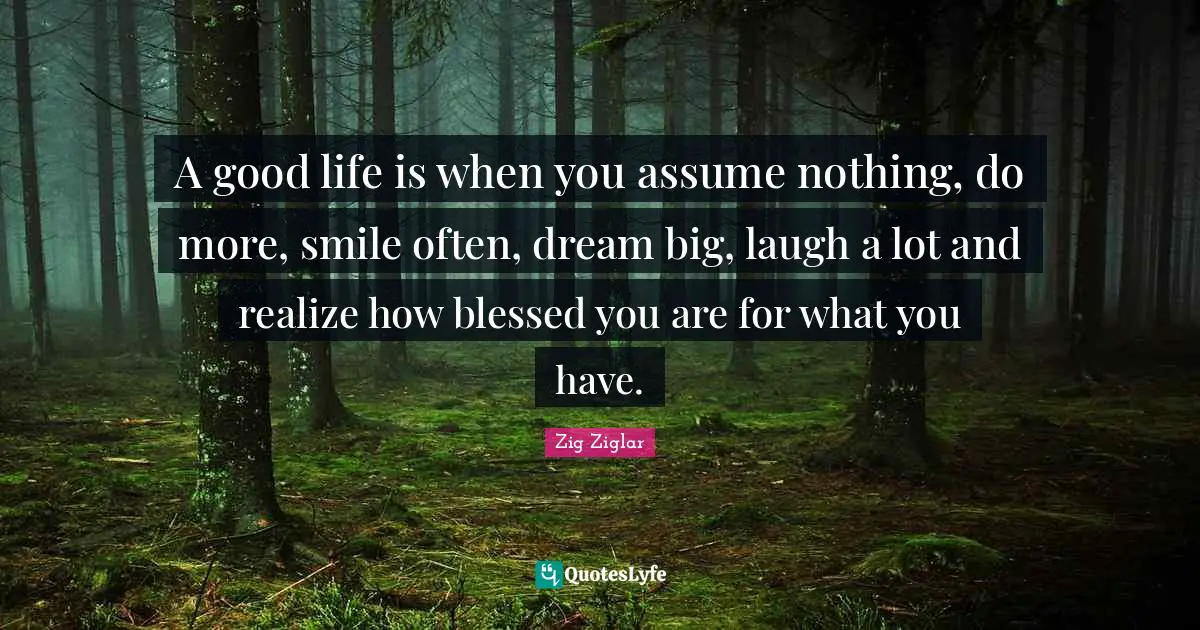 Blessed Quotes: "A good life is when you assume nothing, do more, smile often, dream big, laugh a lot and realize how blessed you are for what you have."