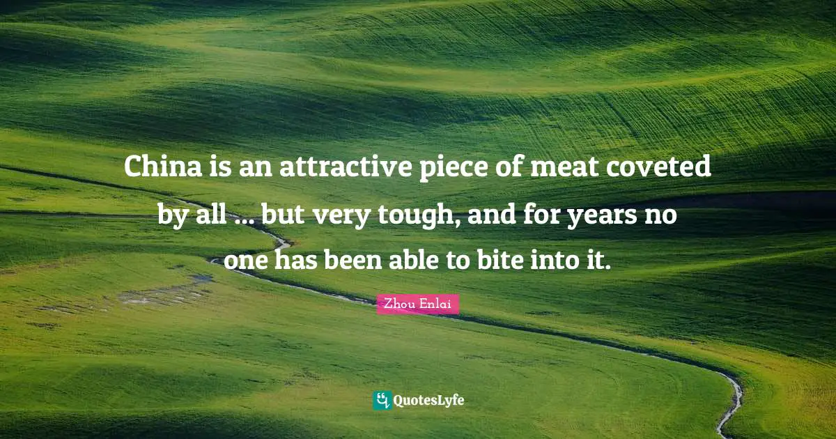 China Quotes: "China is an attractive piece of meat coveted by all ... but very tough, and for years no one has been able to bite into it."