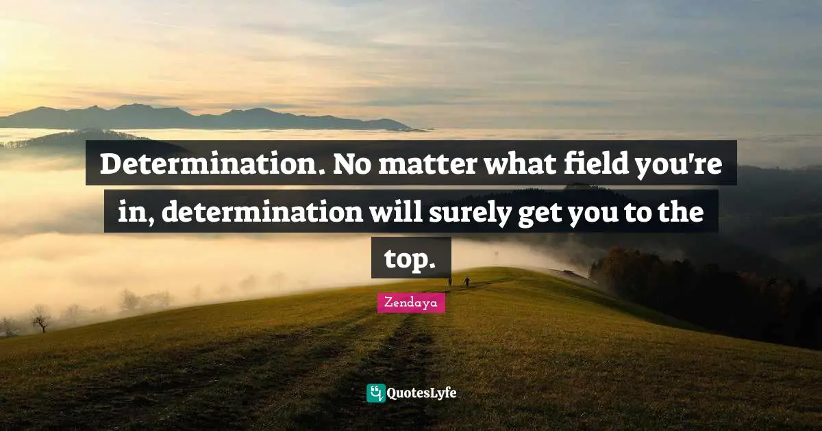 Zendaya Quotes: Determination. No matter what field you're in, determination will surely get you to the top.