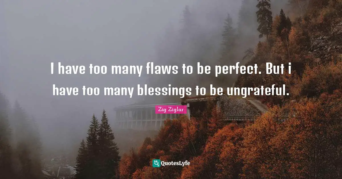 I have too many flaws to be perfect. But i have too many blessings to be ungrateful.