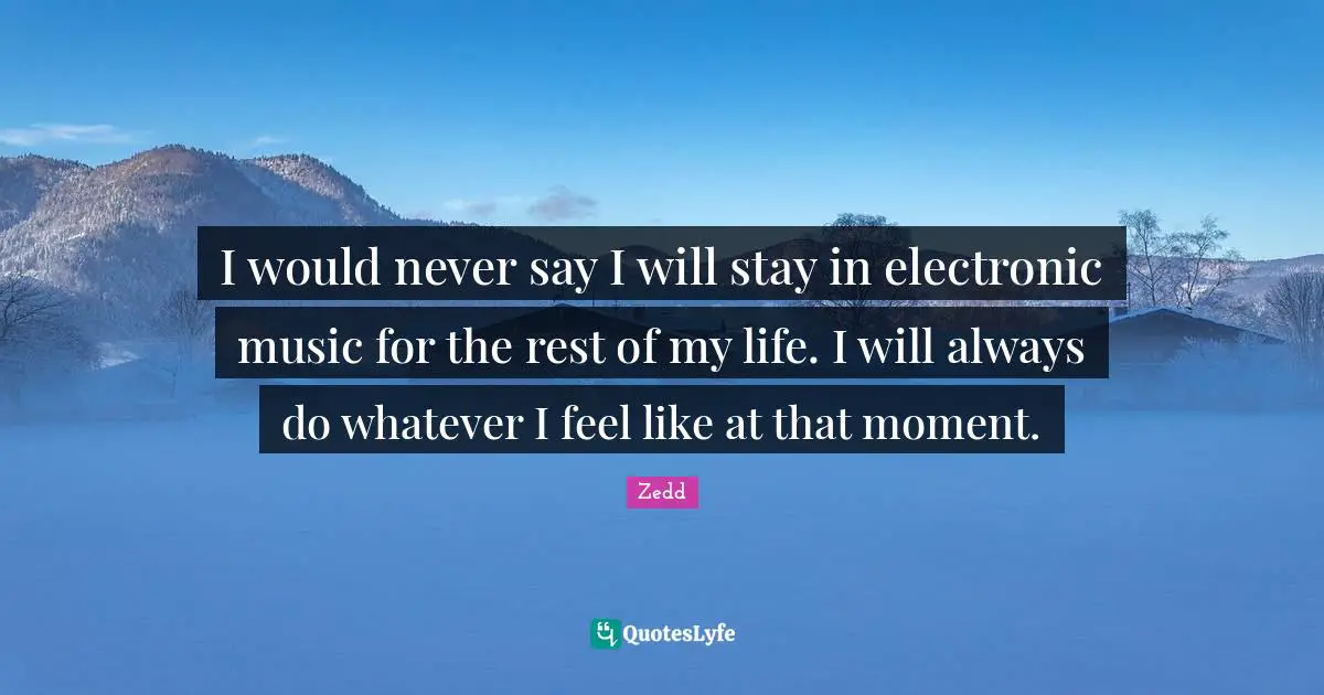 I would never say I will stay in electronic music for the rest of my life. I will always do whatever I feel like at that moment.