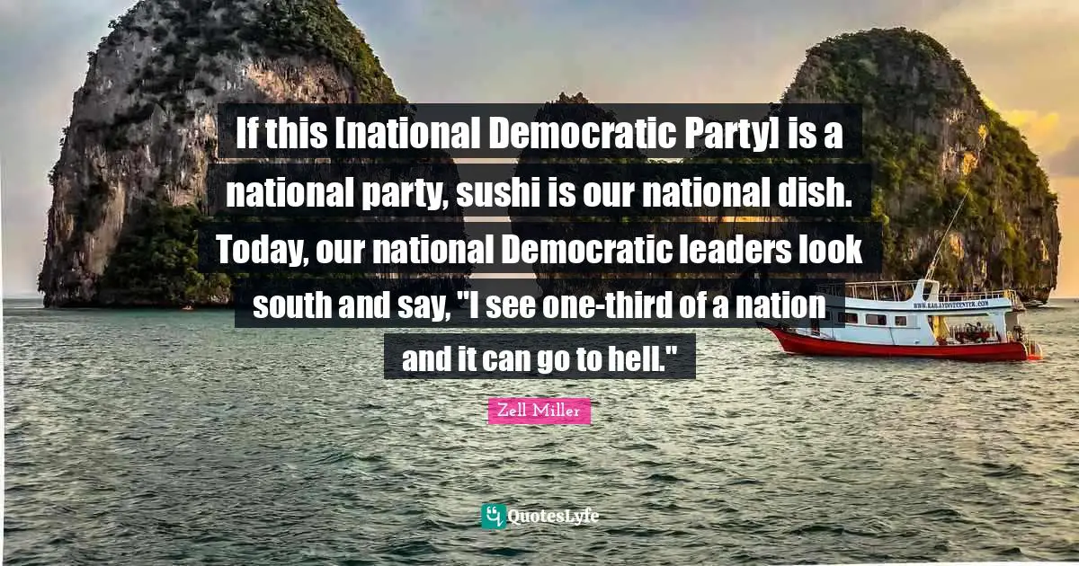 If this [national Democratic Party] is a national party, sushi is our national dish. Today, our national Democratic leaders look south and say, "I see one-third of a nation and it can go to hell."