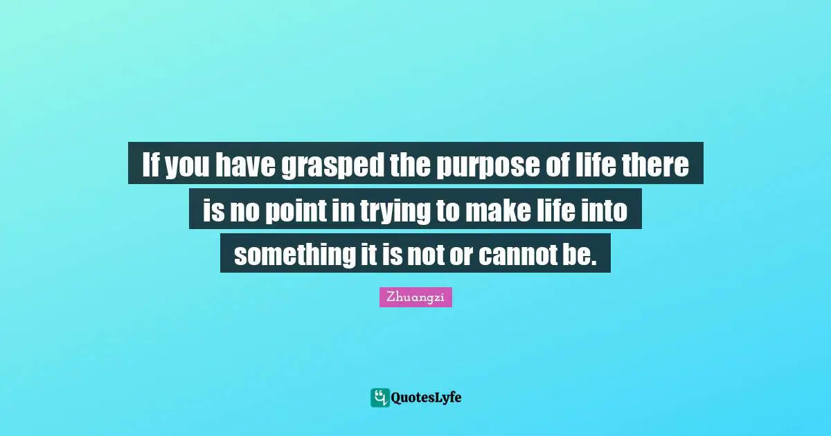 If you have grasped the purpose of life there is no point in trying to make life into something it is not or cannot be.