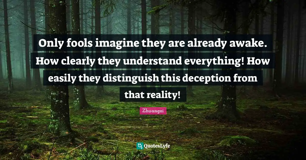 Only fools imagine they are already awake. How clearly they understand everything! How easily they distinguish this deception from that reality!