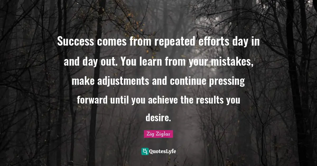 Learn From Your Mistakes Quotes: "Success comes from repeated efforts day in and day out. You learn from your mistakes, make adjustments and continue pressing forward until you achieve the results you desire."