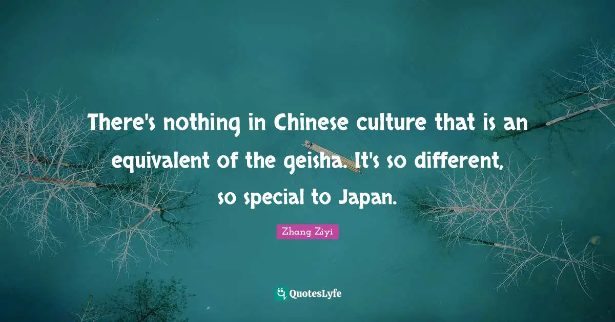 There's nothing in Chinese culture that is an equivalent of the geisha. It's so different, so special to Japan.