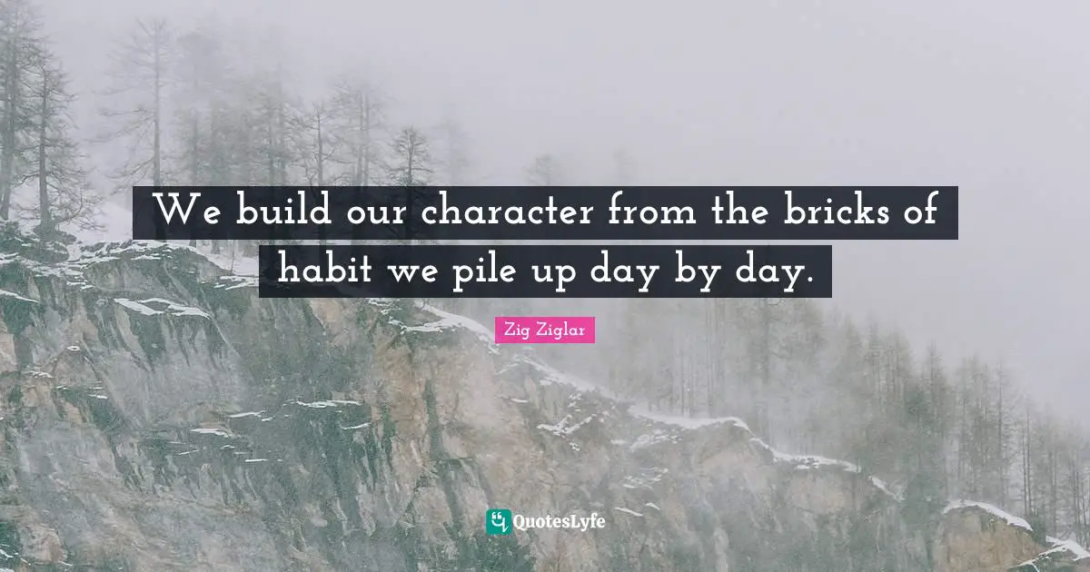 We build our character from the bricks of habit we pile up day by day.