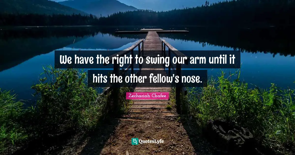 We have the right to swing our arm until it hits the other fellow's nose.
