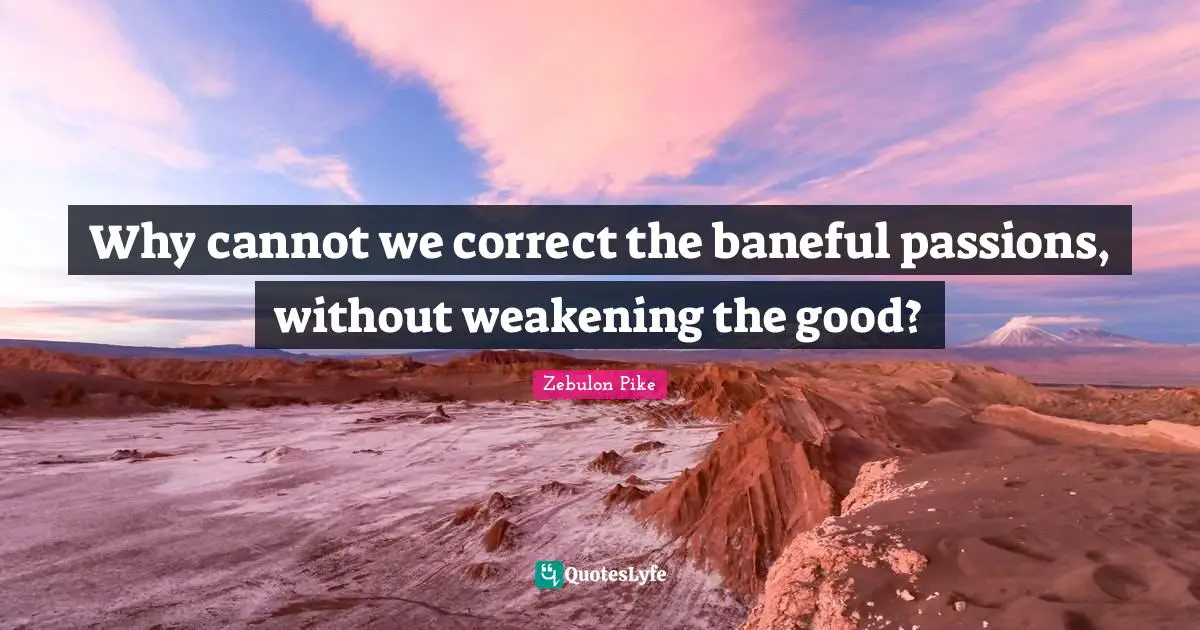 Why cannot we correct the baneful passions, without weakening the good?