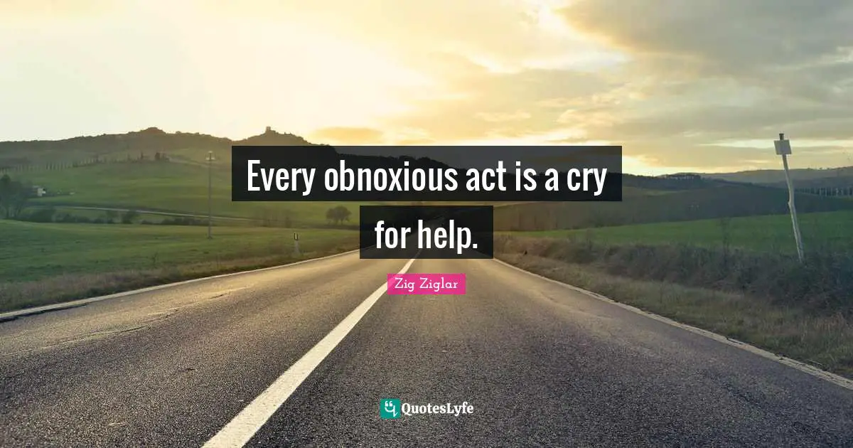 Every obnoxious act is a cry for help.