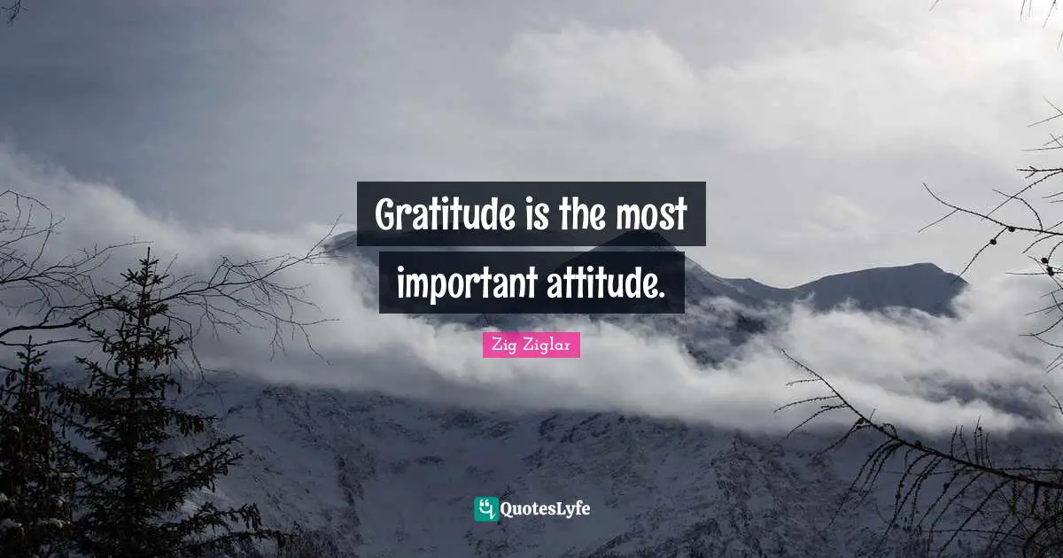 Gratitude is the most important attitude.