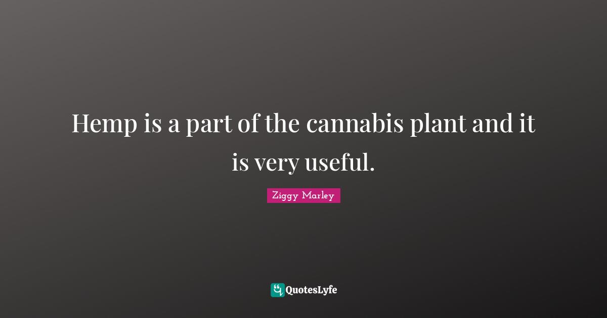 Hemp is a part of the cannabis plant and it is very useful.