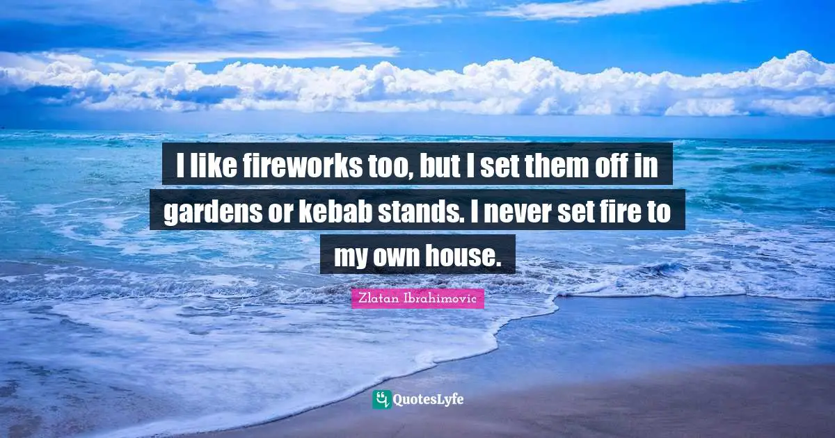 I like fireworks too, but I set them off in gardens or kebab stands. I never set fire to my own house.