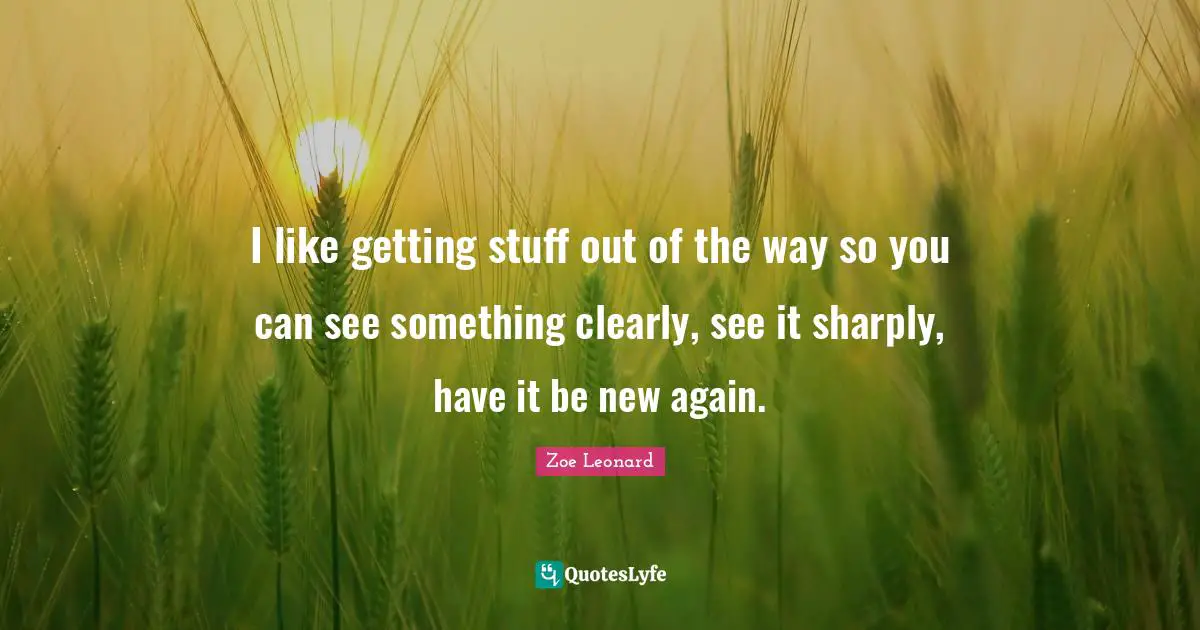 I like getting stuff out of the way so you can see something clearly, see it sharply, have it be new again.